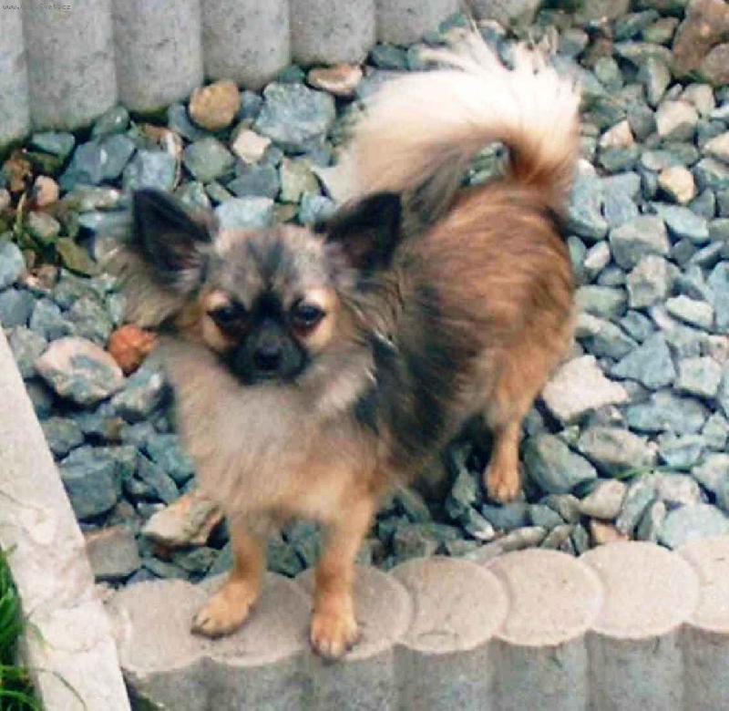 Foto: Ernest�nka