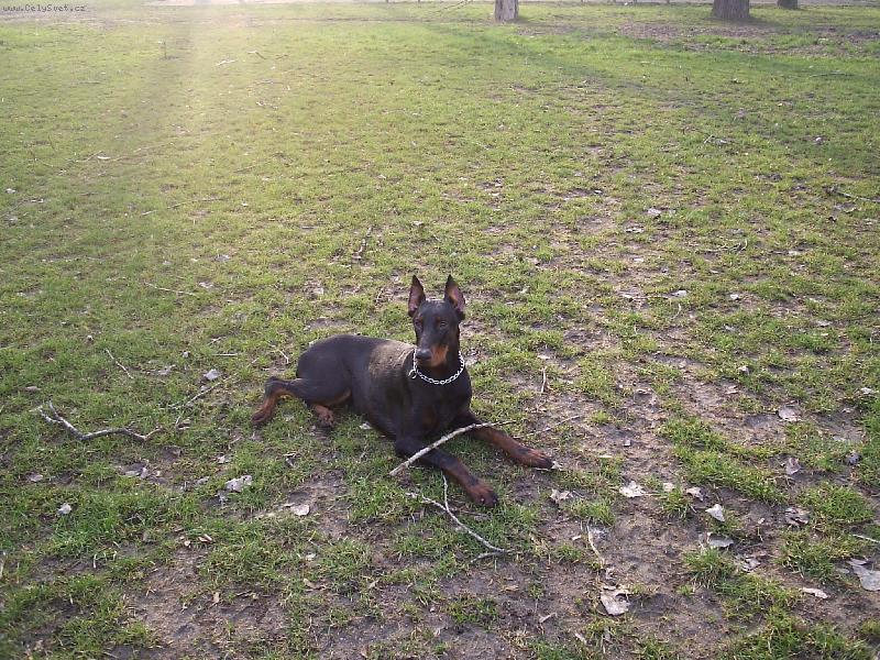 Foto: m�j dag