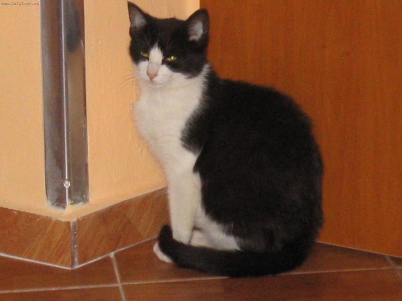 Foto: linda