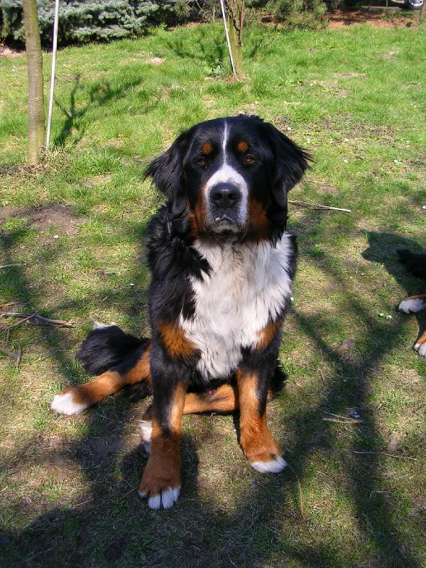 Foto: Max