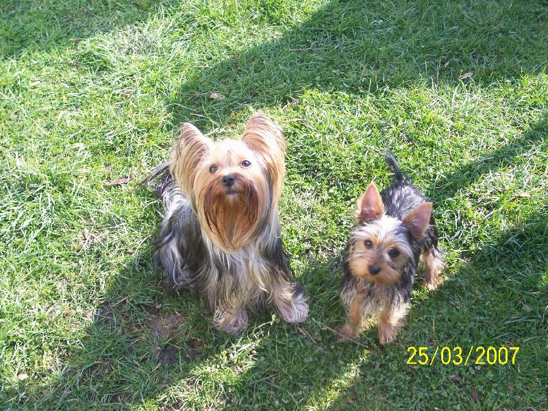 Foto: Bessy a Nelly