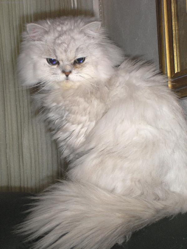 Foto: Mat�sek