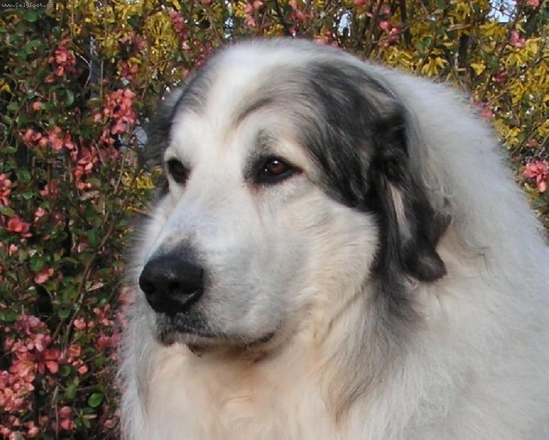 Foto: Monty-Monty