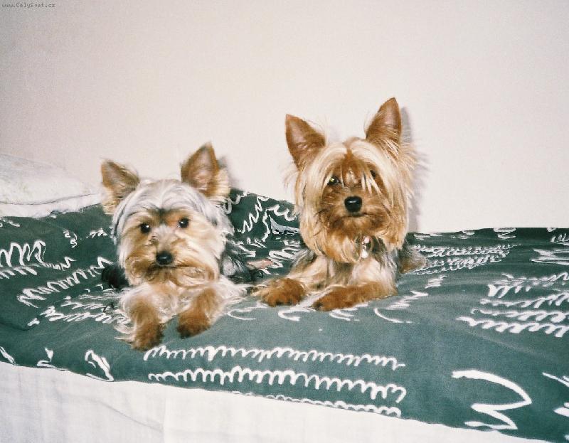 Foto: Max a Ketty