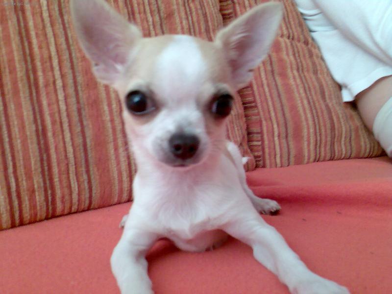 Foto: NELLI