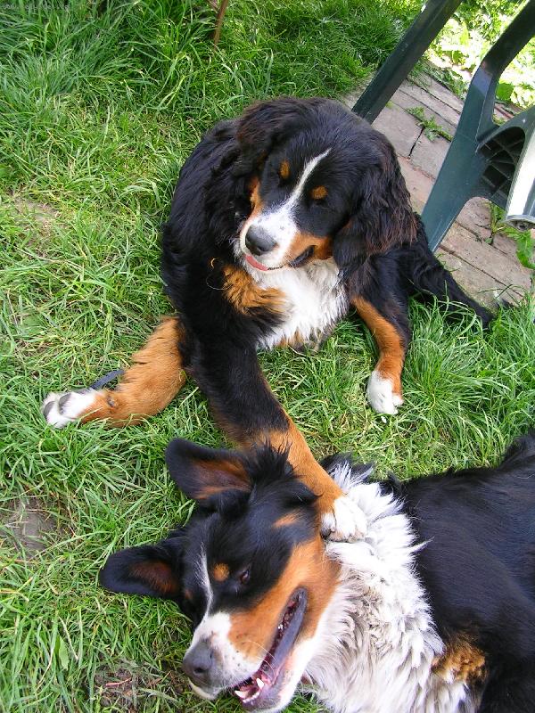 Foto: Max a Sam