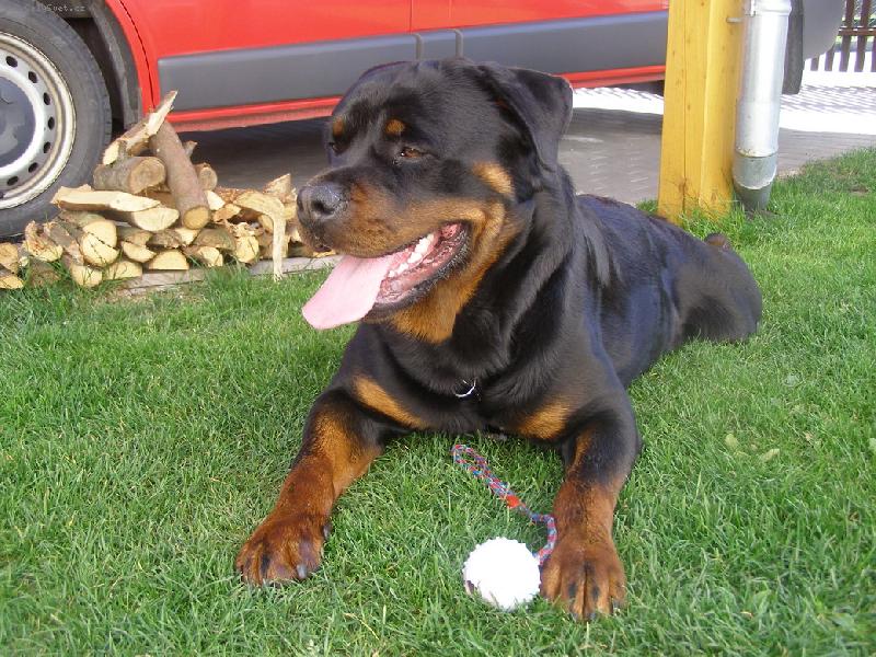 Foto: URAN KI-ROT
