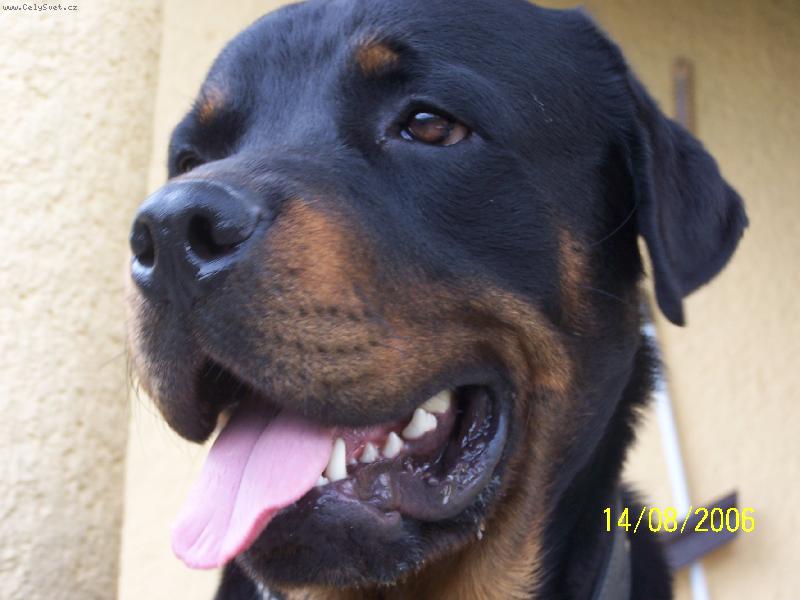 Foto: Lord