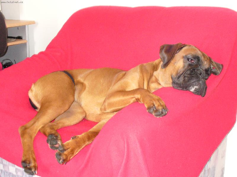 Foto: Barbra-Bonnie