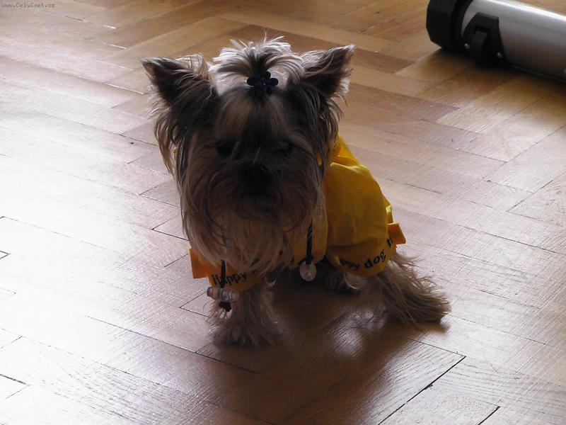 Foto: timu�ko