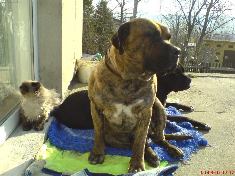 Foto: Coco-Coco