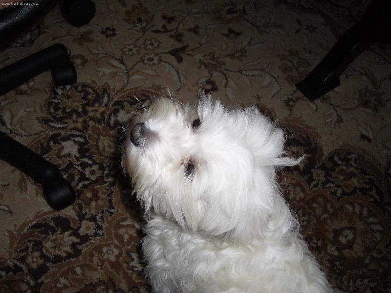 Foto: bady-foto