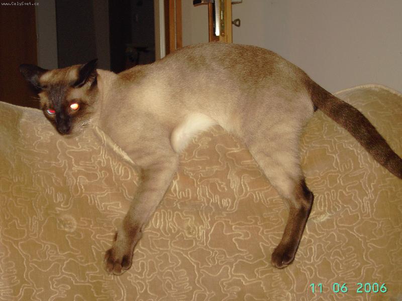 Foto: Po obede
