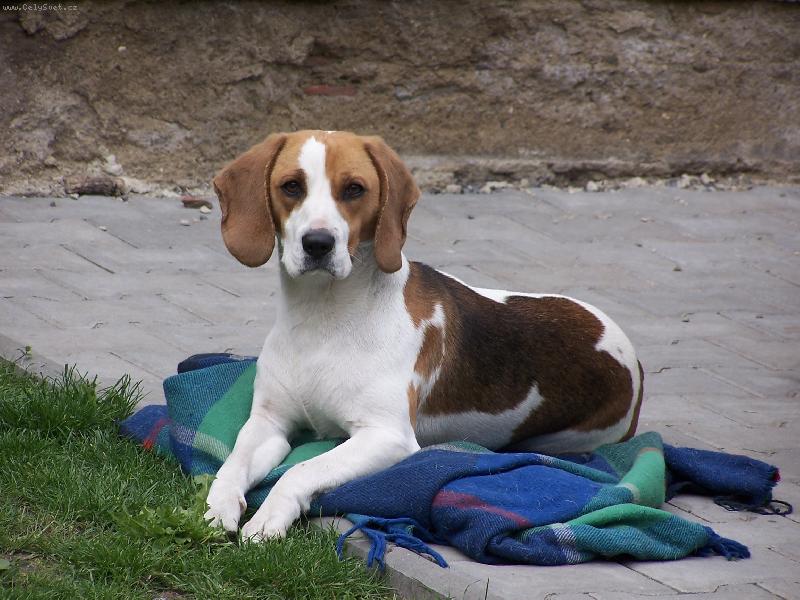 Foto: Lucky03