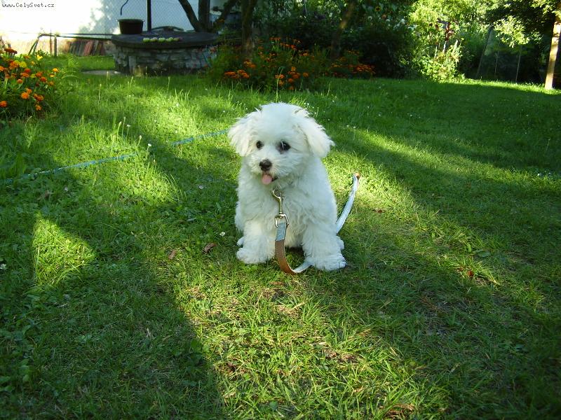 Foto: Timmy