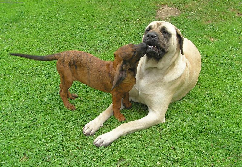 Foto: Orka a Nelka