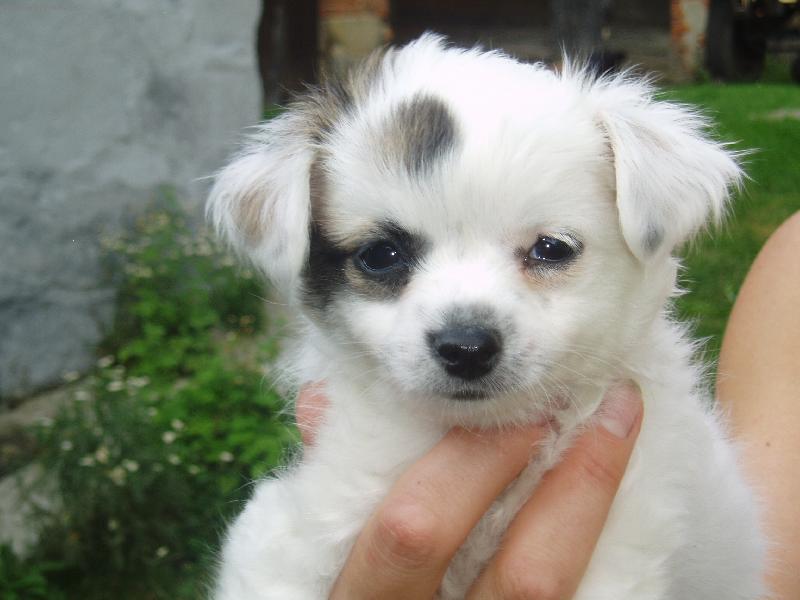 Foto: CIKIN