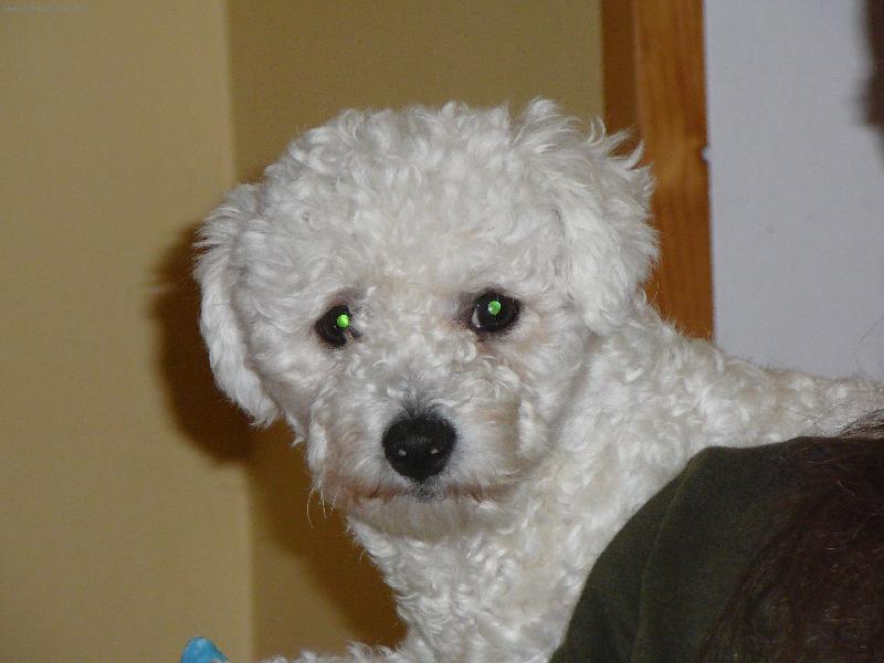 Foto: Angie