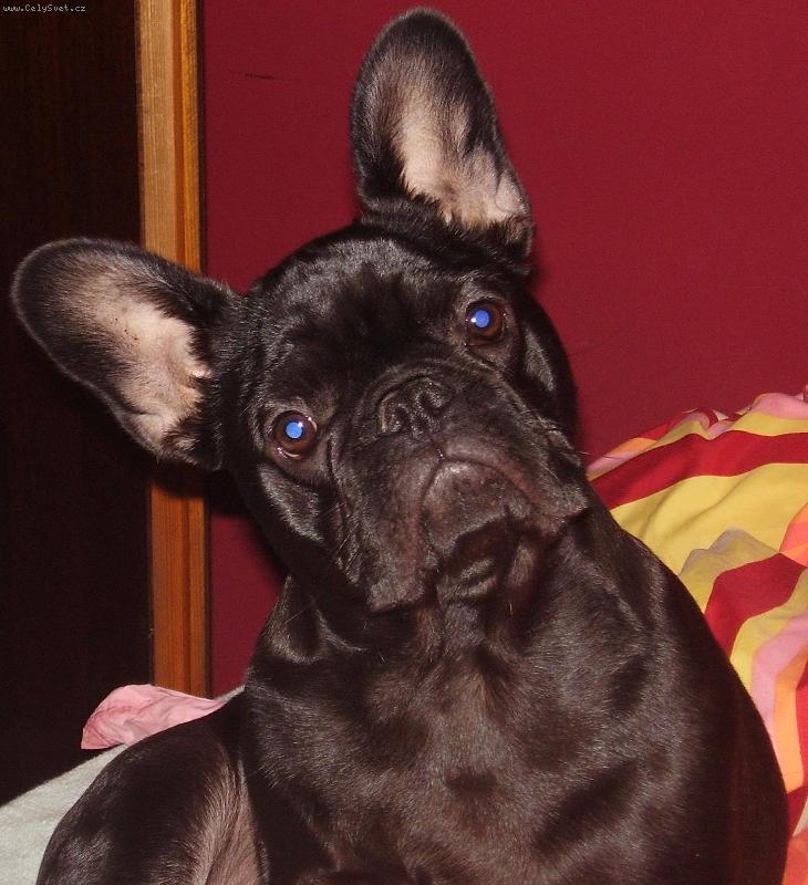 Foto: Lucky