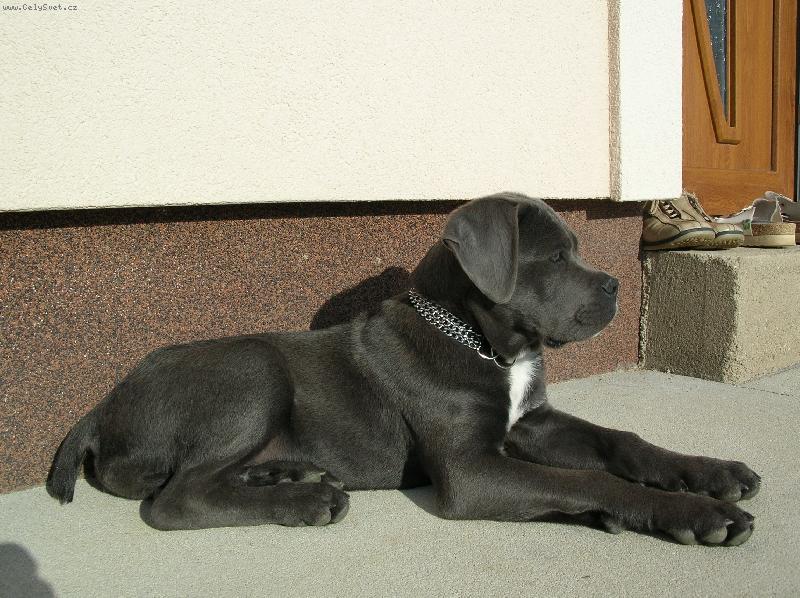 Foto: Ioshua