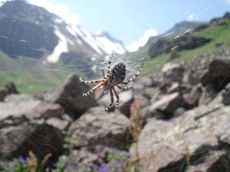 Foto: Aragats 2007