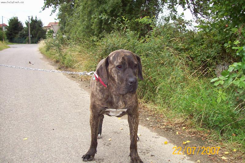 Foto: sarina