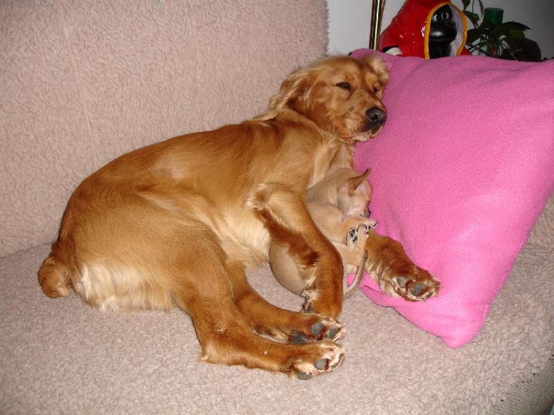 Foto: Jeff a Muff