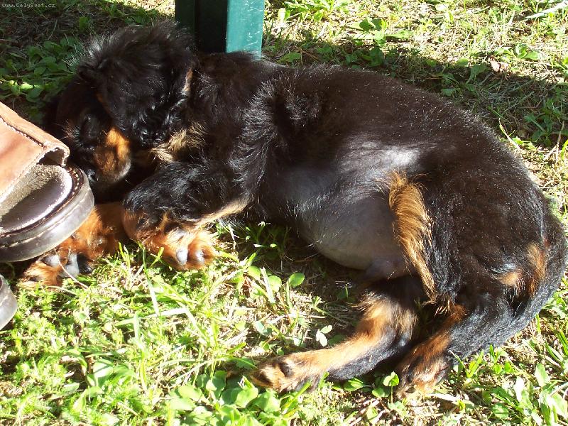 Foto: Charlie