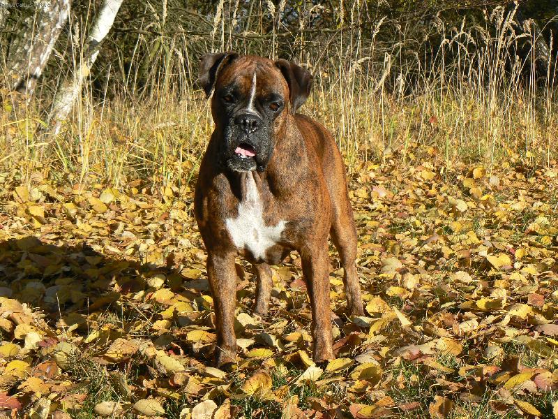 Foto: Blondy v podzimn�m slunci