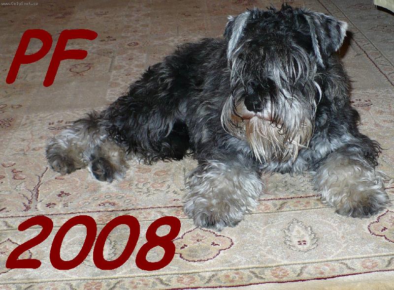 Foto: PF 2008