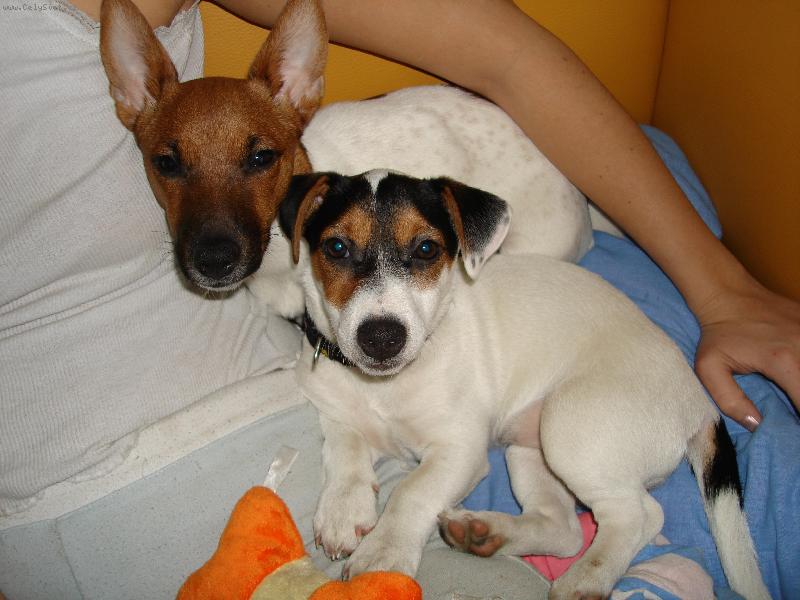 Foto: Nelly a Roxy