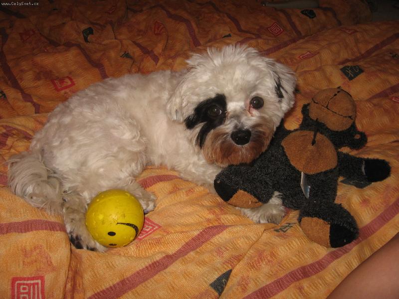 Foto: Izzie
