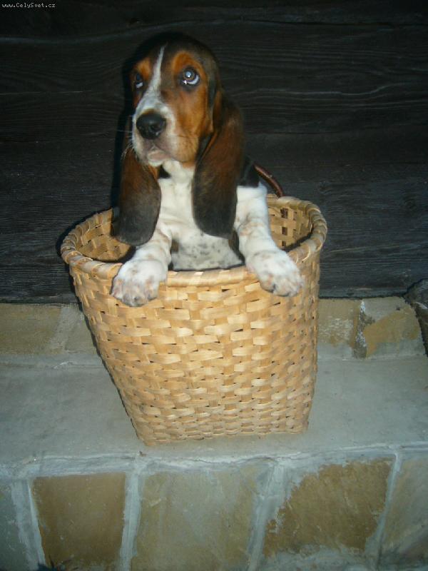 Foto: kristof