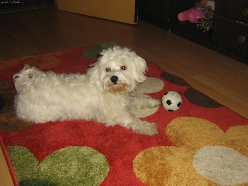 Foto: Timmy