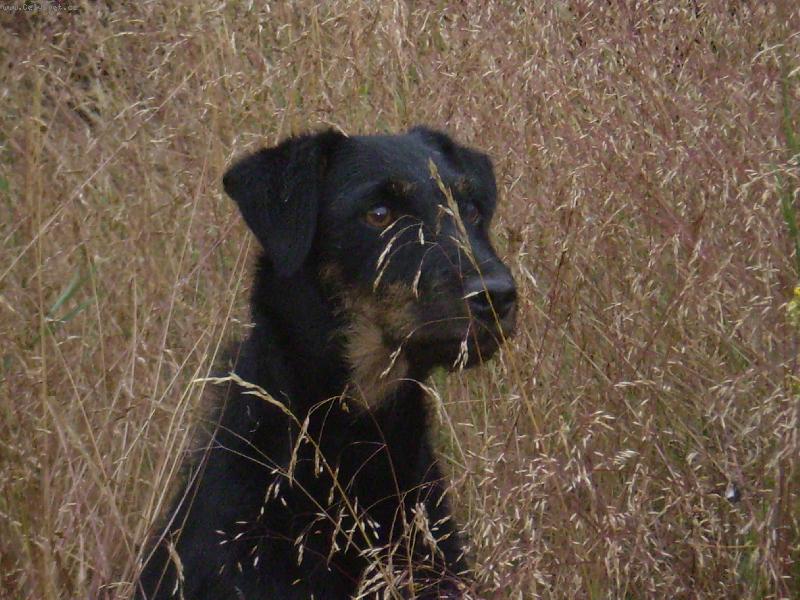 Foto: Bessy-Bessy