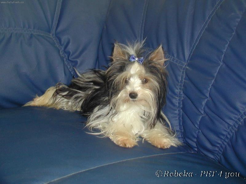 Foto: Prinz Charles
