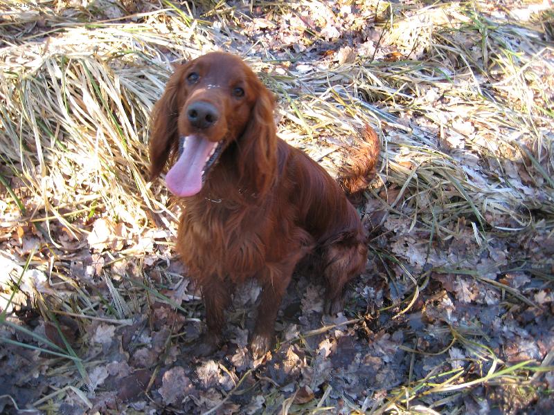 Foto: Scotty