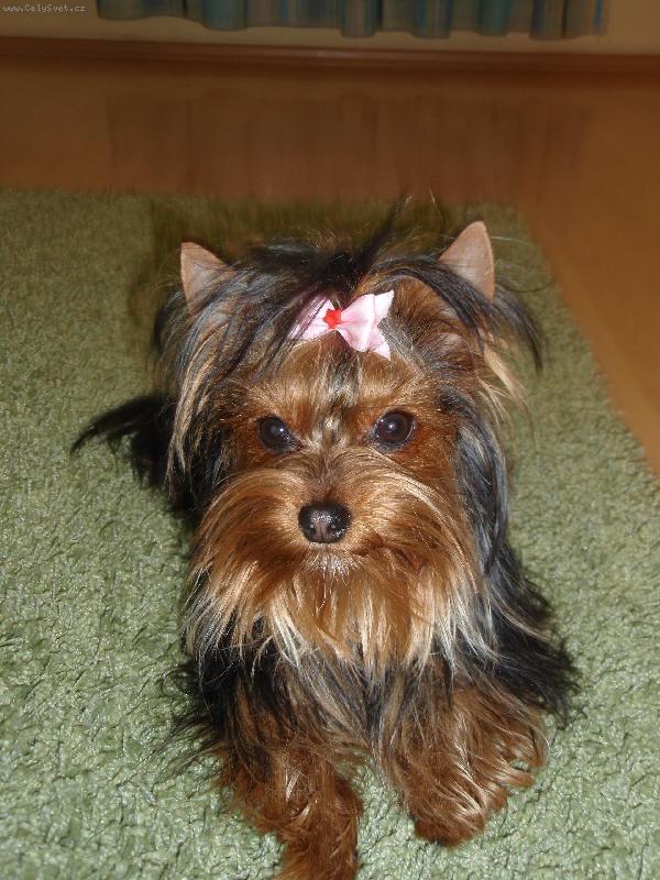 Foto: chanelka