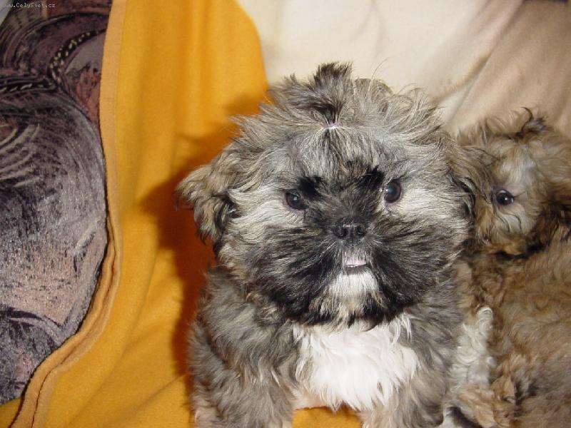 Foto: Charlie