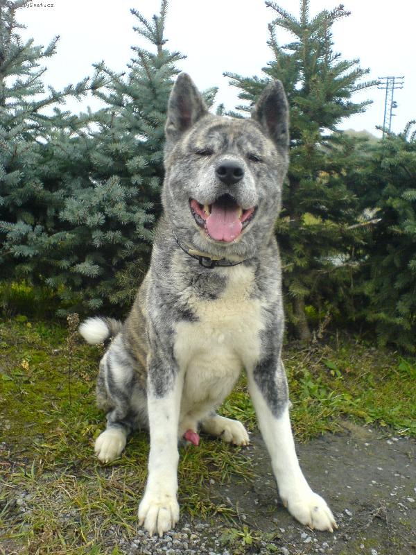 Foto: Jaro