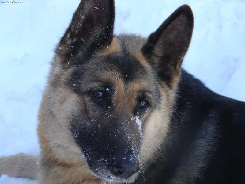 Foto: norinka