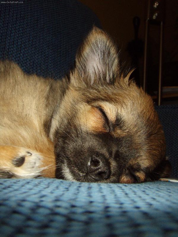 Foto: Valey