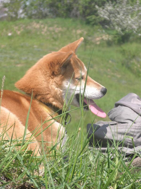 Foto: Casper