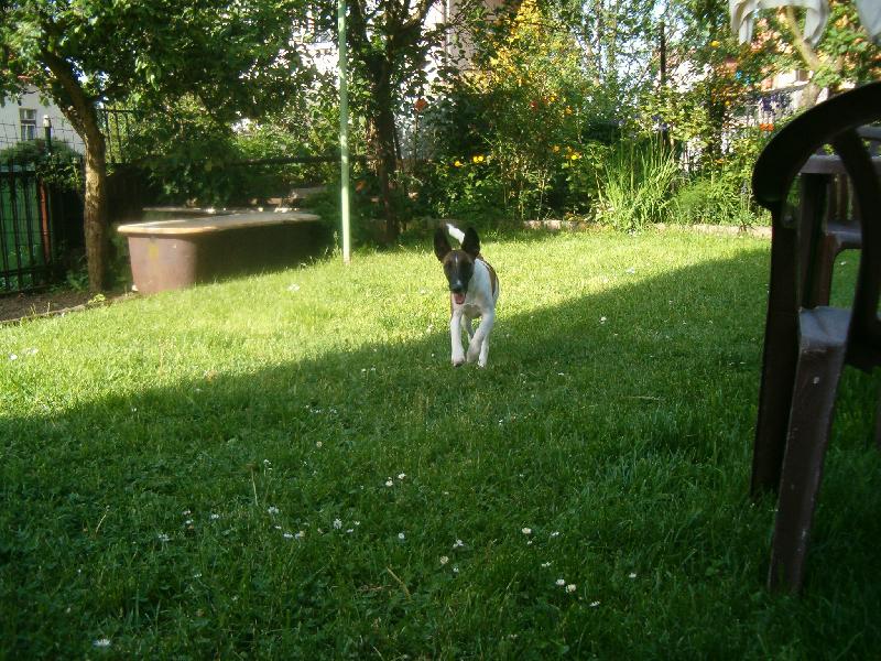 Foto: Bessy