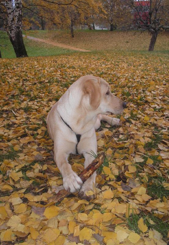 Foto: ...