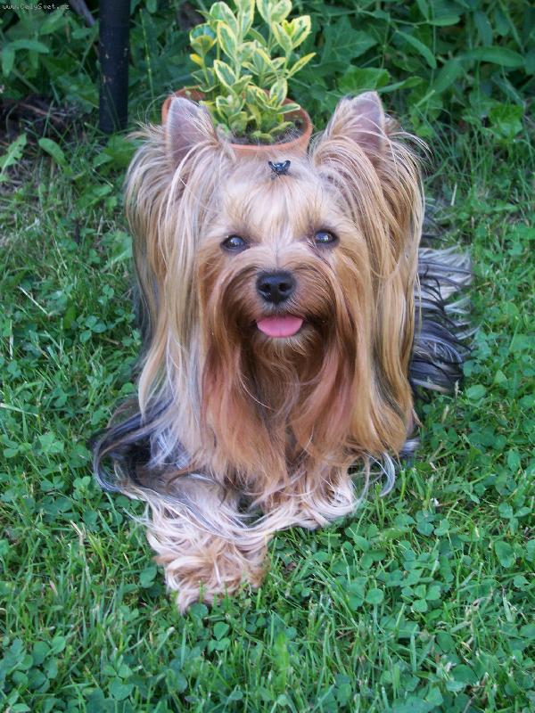 Foto: Bessy