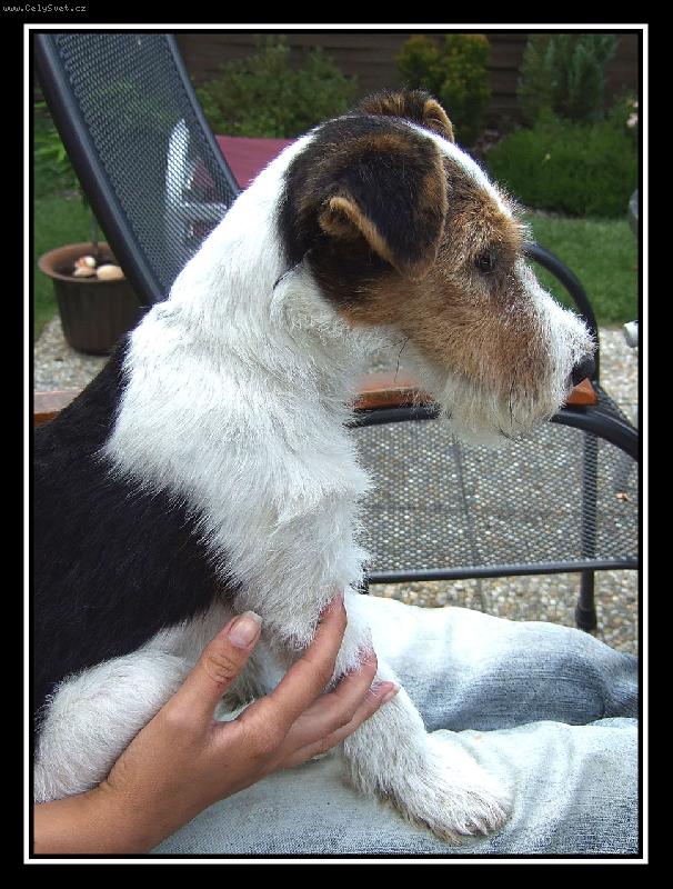 Foto: Ben2