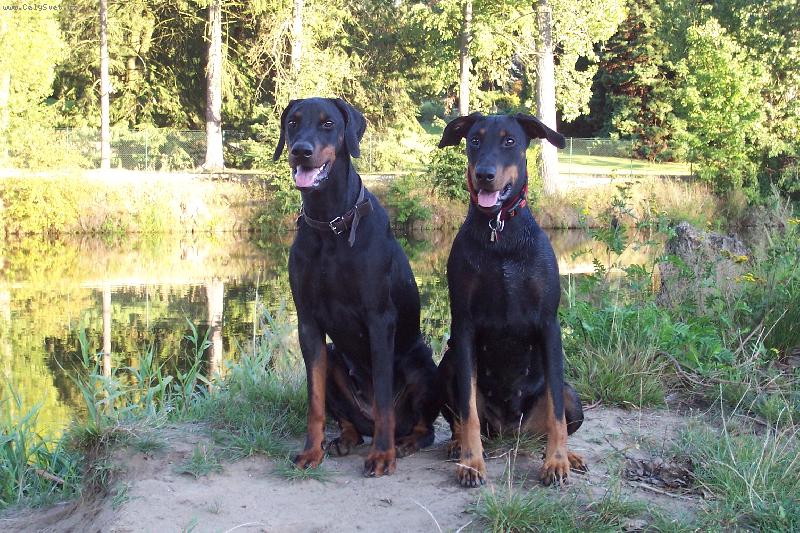 Foto: Trixy a Gina