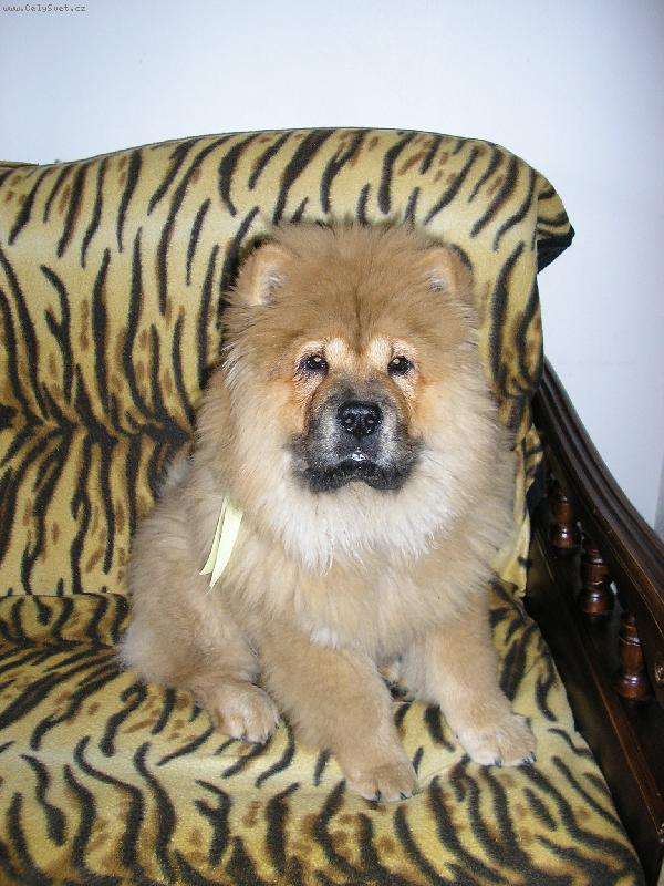 Foto: Nelinka