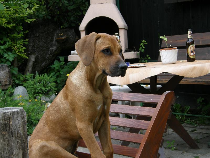 Foto: Bady-Bady